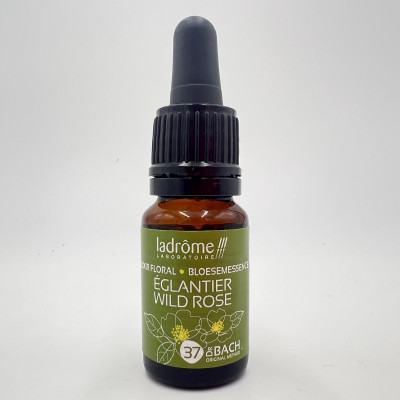 LADROME elixir floral bloesemessence églantier wild rose