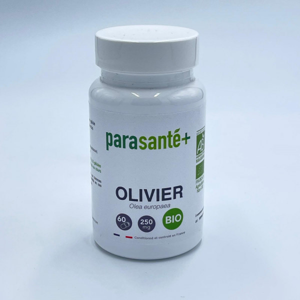 Olivier – 60 Gélules