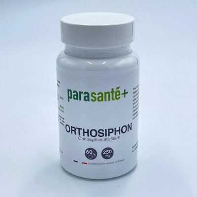 Orthosiphon – 60 Gélules
