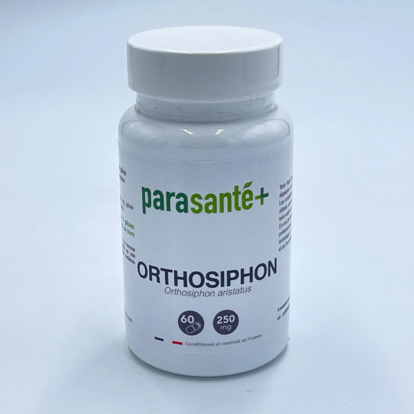 Orthosiphon – 60 Gélules