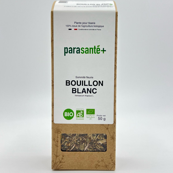 Bouillon Blanc Bio (Sommité Fleurie)