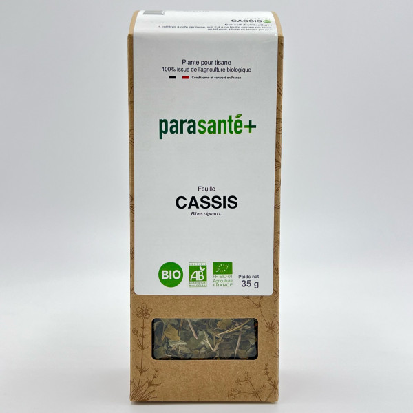 Cassis Bio (Feuille)