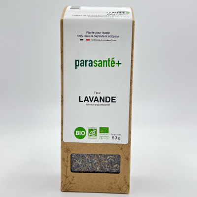 Lavande Bio (Fleur)