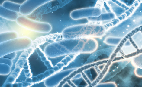 Les probiotiques : vos alliés pour une flore intestinale en pleine forme ?