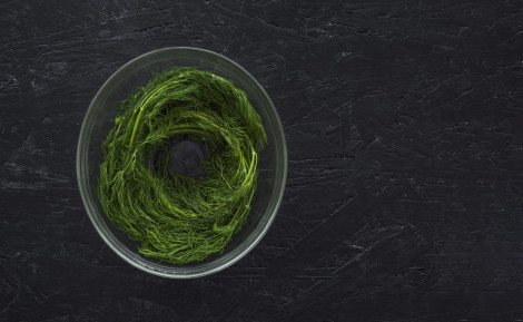 Spiruline : bienfaits, propriétés et conseils d’utilisation