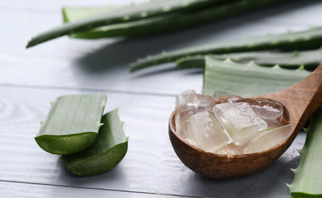 L'Aloe Vera : Un Trésor Naturel pour Votre Santé et Votre Beauté