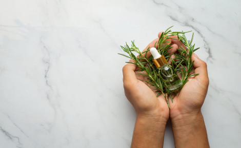 Desmodium : la plante du foie et de la détox naturelle